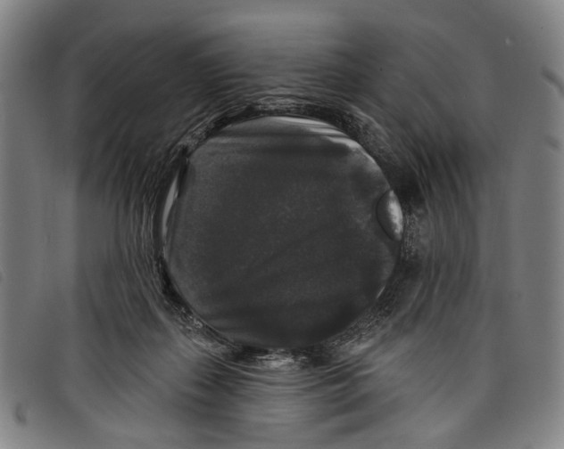 X0000097790267200804041243