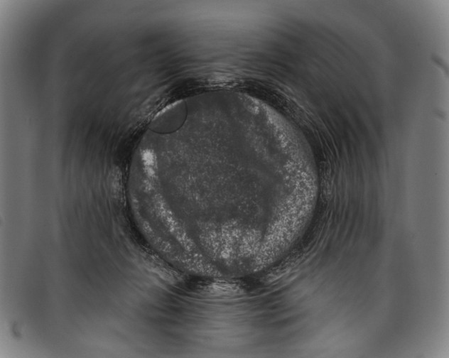 X0000097790270200804041243