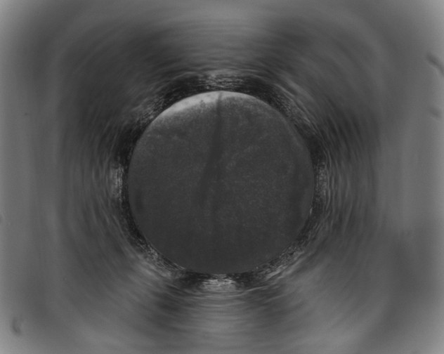 X0000097790271200804041243