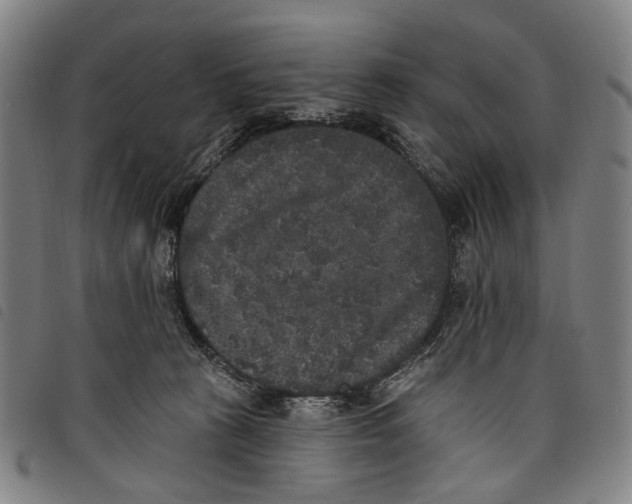 X0000097790273200804041243