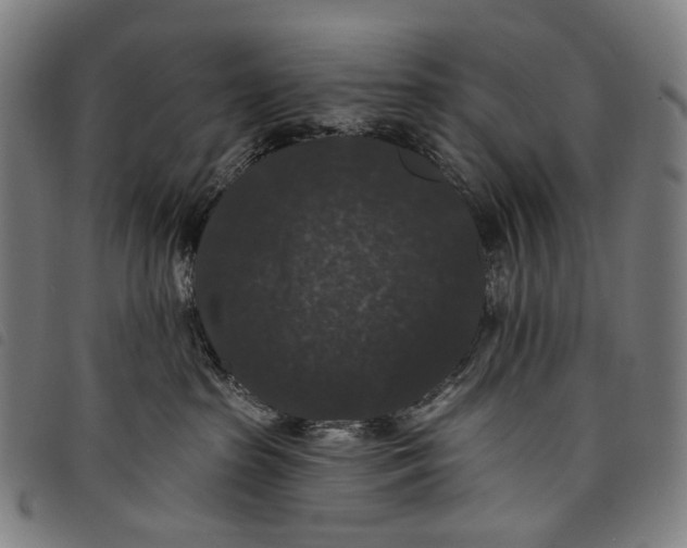 X0000097790285200804041243