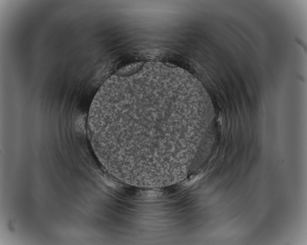 X0000097790286200804041243