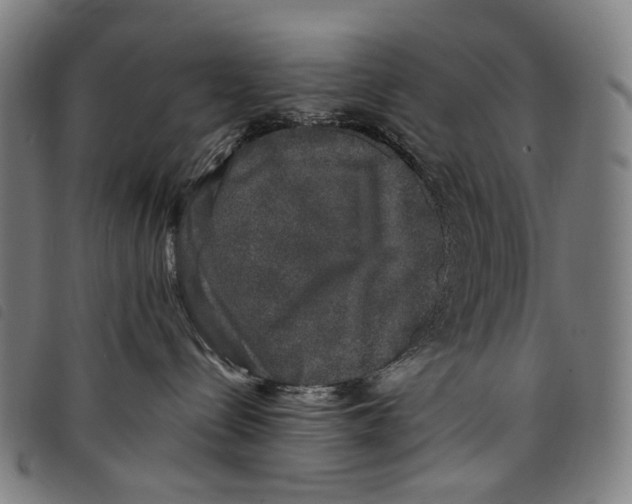 X0000097790288200804041243