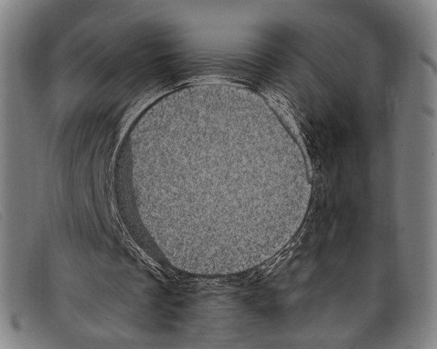 X0000097790289200804041242