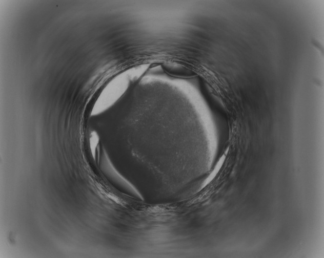 X0000097790290200804041242