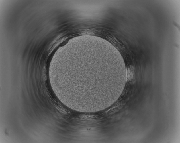 X0000097790291200804041242