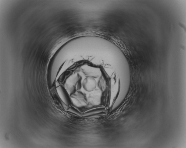 X0000097790292200804041242