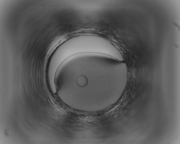 X0000097790293200804041242