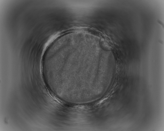 X0000097790294200804041242