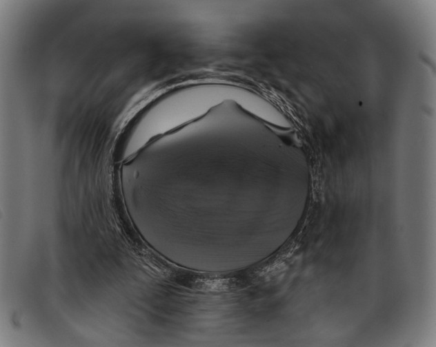 X0000097790295200804041242