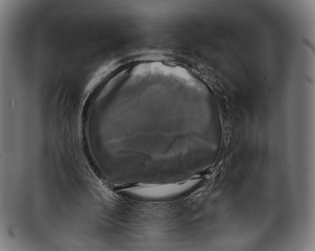 X0000097790296200804041242