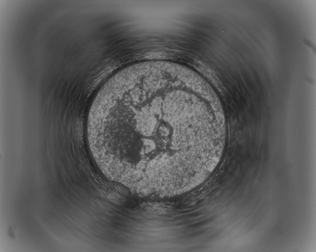 X0000097790297200804041242