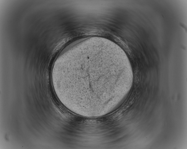 X0000097790298200804041242