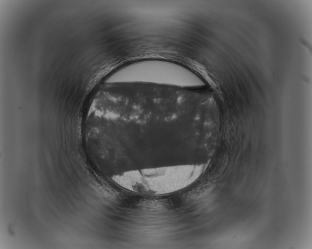 X0000097790299200804041242