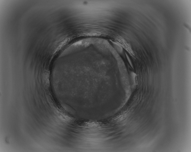 X0000097790300200804041242