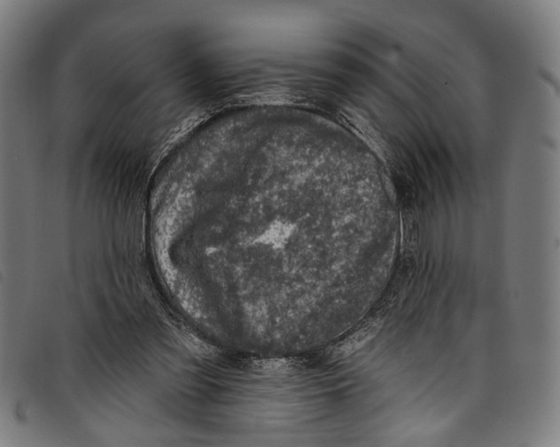 X0000097790301200804041242