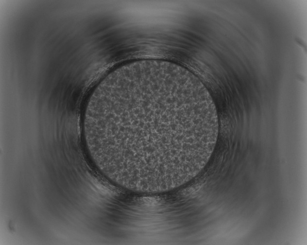 X0000097790302200804041242