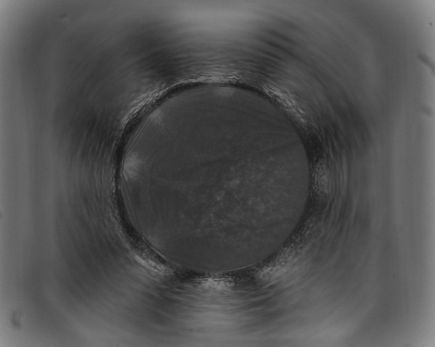 X0000097790303200804041242