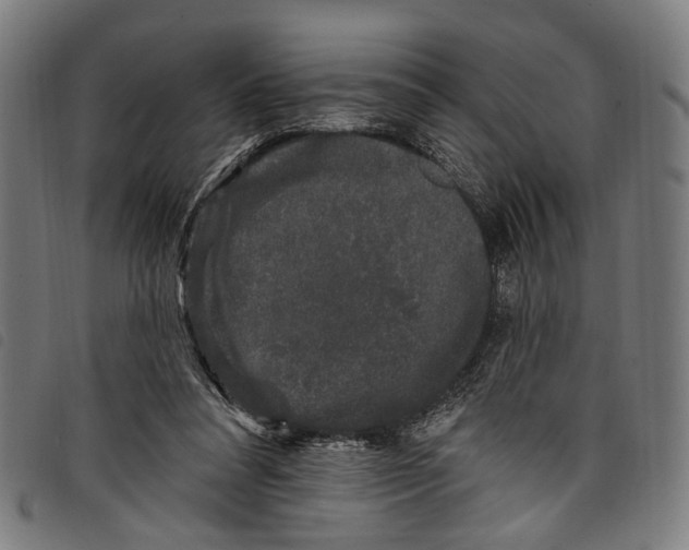 X0000097790304200804041242