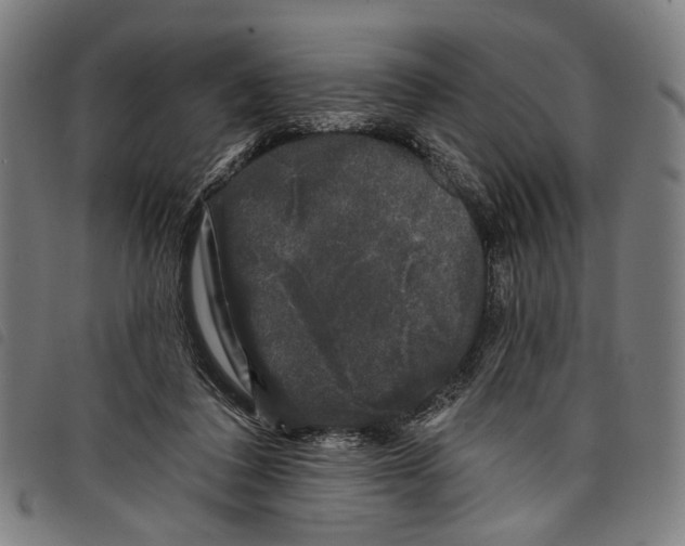 X0000097790308200804041242