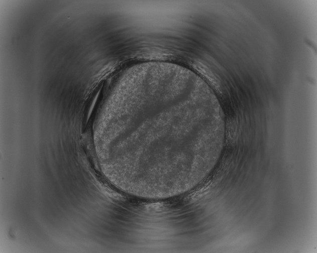 X0000097790309200804041242