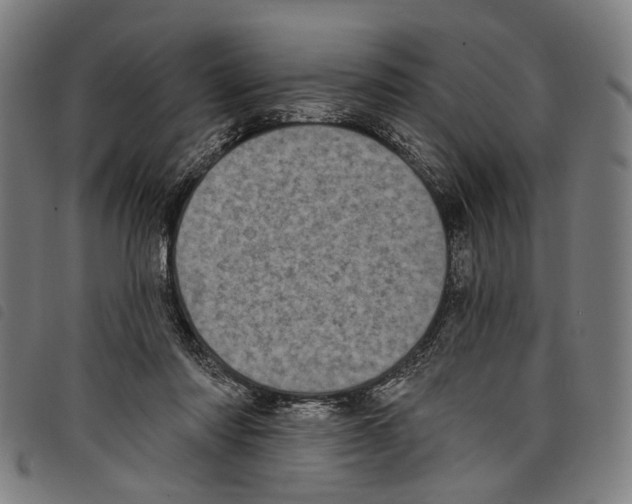 X0000097790310200804041242