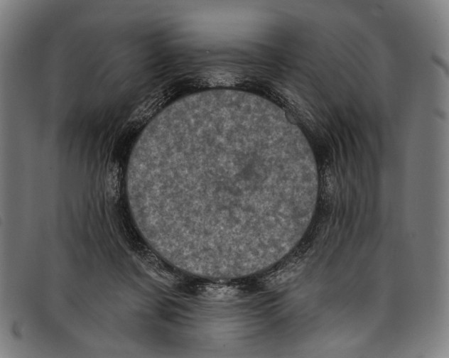 X0000097790311200804041242