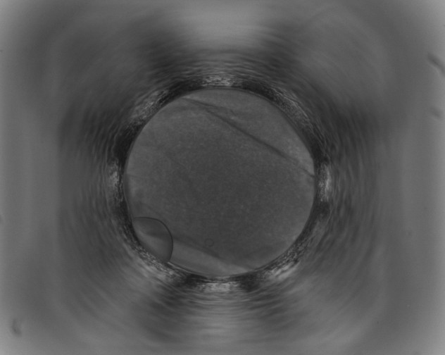 X0000097790314200804041242