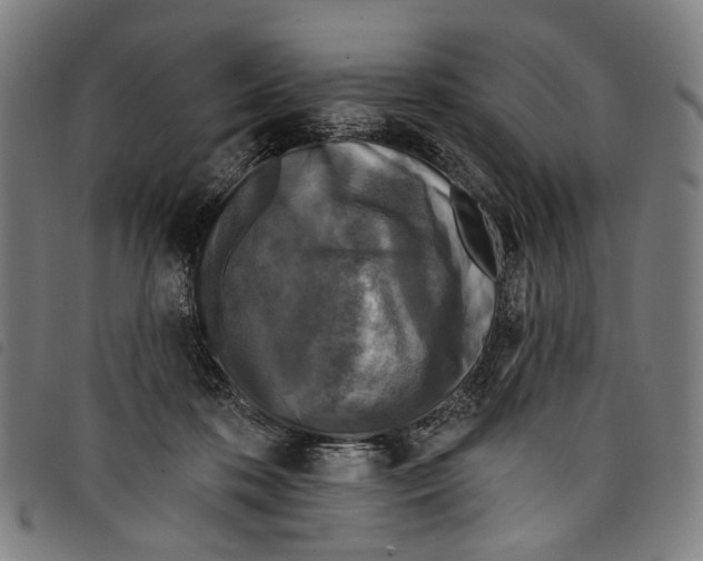 X0000097790316200804041242