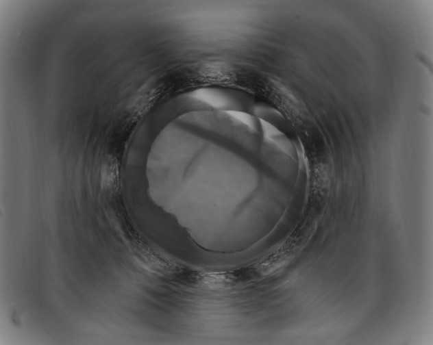 X0000097790320200804041242