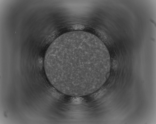 X0000097790321200804041242