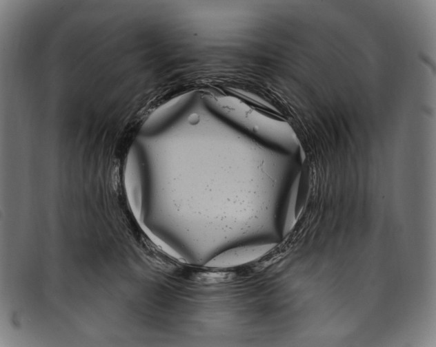 X0000097790323200804041242