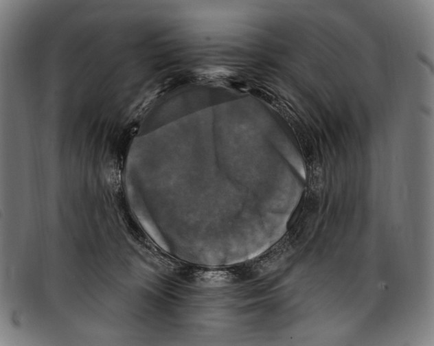 X0000097790324200804041242