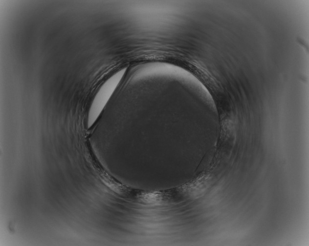 X0000097790325200804041242