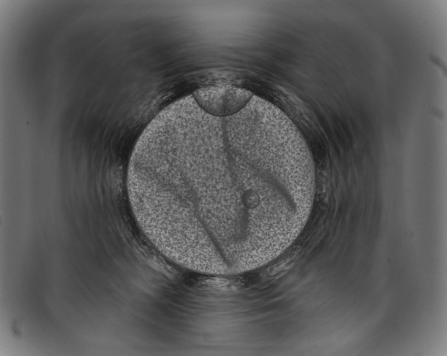 X0000097790326200804041242