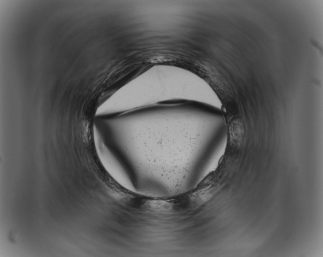 X0000097790327200804041242