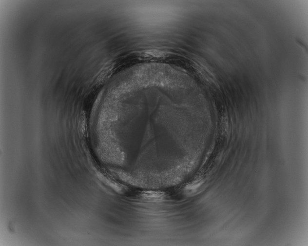 X0000097790328200804041242