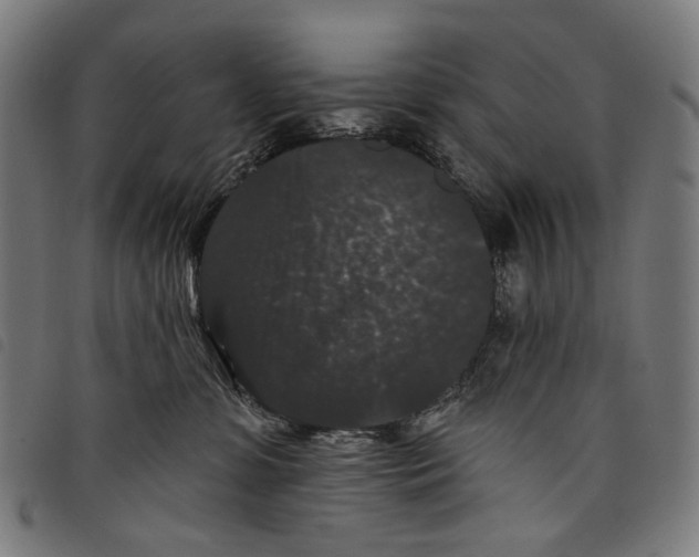 X0000097790331200804041242