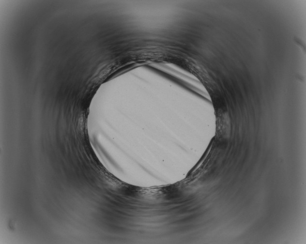 X0000097790333200804041242