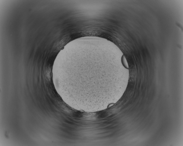 X0000097790334200804041242