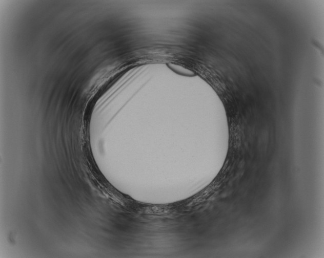 X0000097790338200804041241