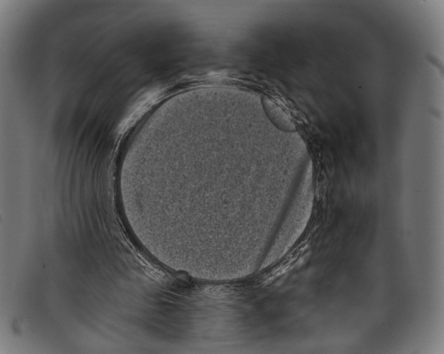 X0000097790341200804041241