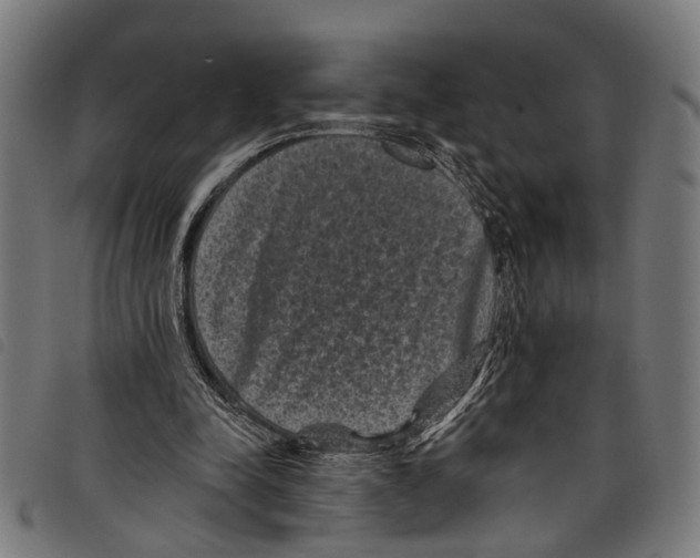 X0000097790342200804041241
