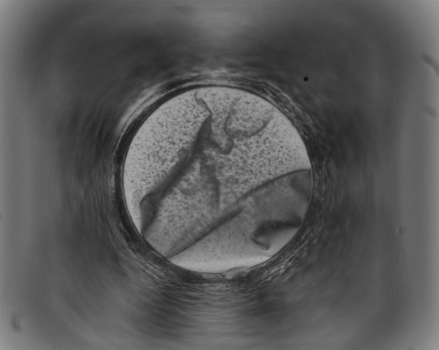 X0000097790344200804041241