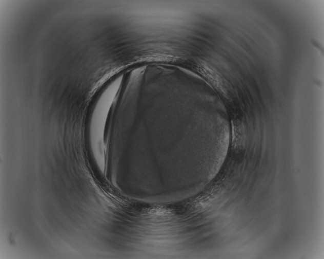 X0000097790348200804041241