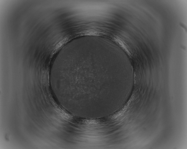 X0000097790349200804041241