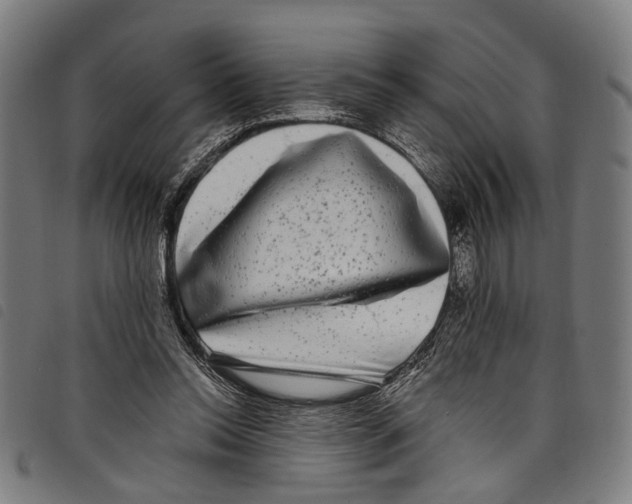 X0000097790350200804041241