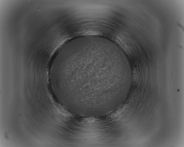 X0000097790351200804041241