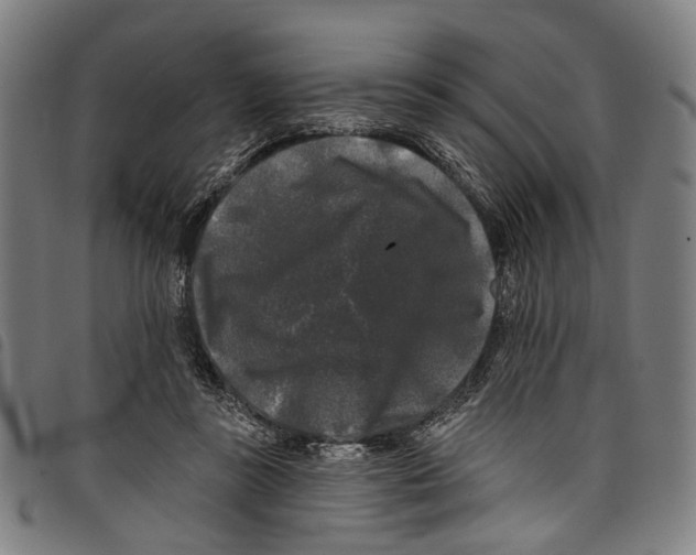 X0000097790355200804041241