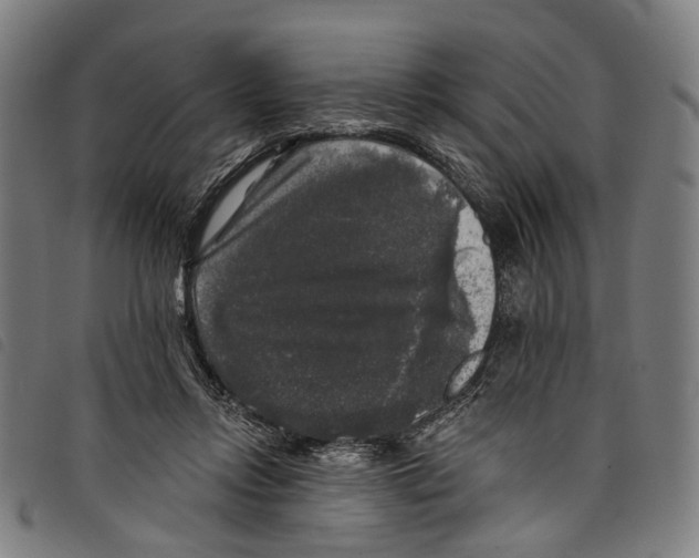 X0000097790358200804041241